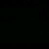 fadill_7_