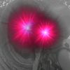 user27557914114061