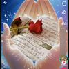 user4534395468190