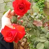 user3037035061039