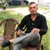 tiger.fadi