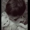 s_8xlllii