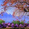 pushpa.latha0