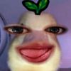 lulallalaxz_