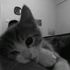 yuze_8476