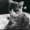 rayyy_thai