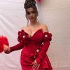 mellannia_mmr1