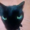 nacho_mr09