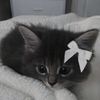 valeria_202120_
