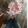 dana_5587