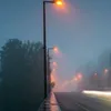 dinhchinh207