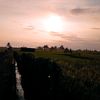 udinn0011