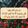 lailaalami01