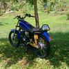andika_1.18