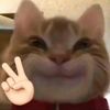 dytihfay_kaa