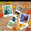 elis7593
