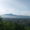 aldisetiyawan698