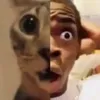 hectorchoqui1