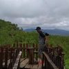 joseimesyaari