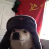 russianman683