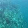 malek_mostafa738
