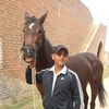 haidervibes74