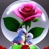 nurullayeva_r