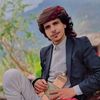 abn_albissi_usa