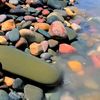 djilali.belhadj3