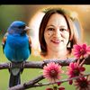 feroza.basson