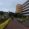 universityvibeske