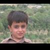 mehmoodhashmee10