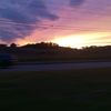 sarahbush39