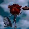 asmrane__2003