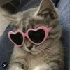 juliawhite169