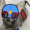 pablitoelmascapitoxd