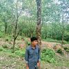 user448785022