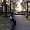 dashy_10.sa