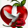 airam_ros_