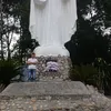 ng.thlinh66
