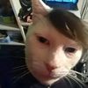 mogxykla