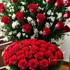 user6613135943803tah974