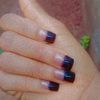 blackpet34