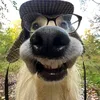 zltxmpixqh2