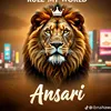 ansari.brand.203