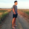 vincent_102295