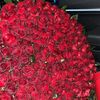 ahlam4846