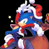 s0nic_the_hedgeh0gfast