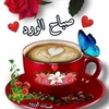 mohamed42905