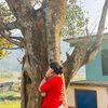 mrs.pariyar75
